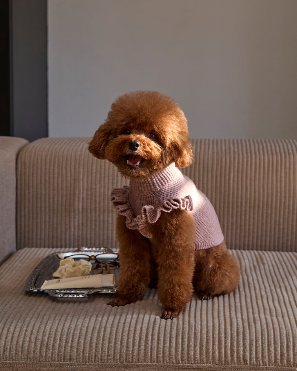 Darling Ruffle Sweater