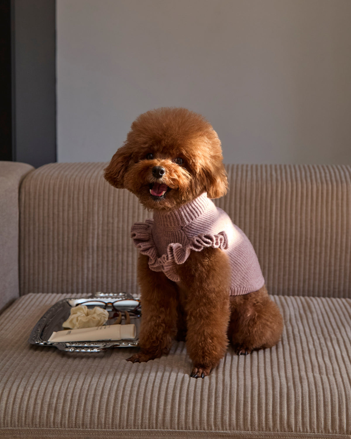 Darling Ruffle Sweater