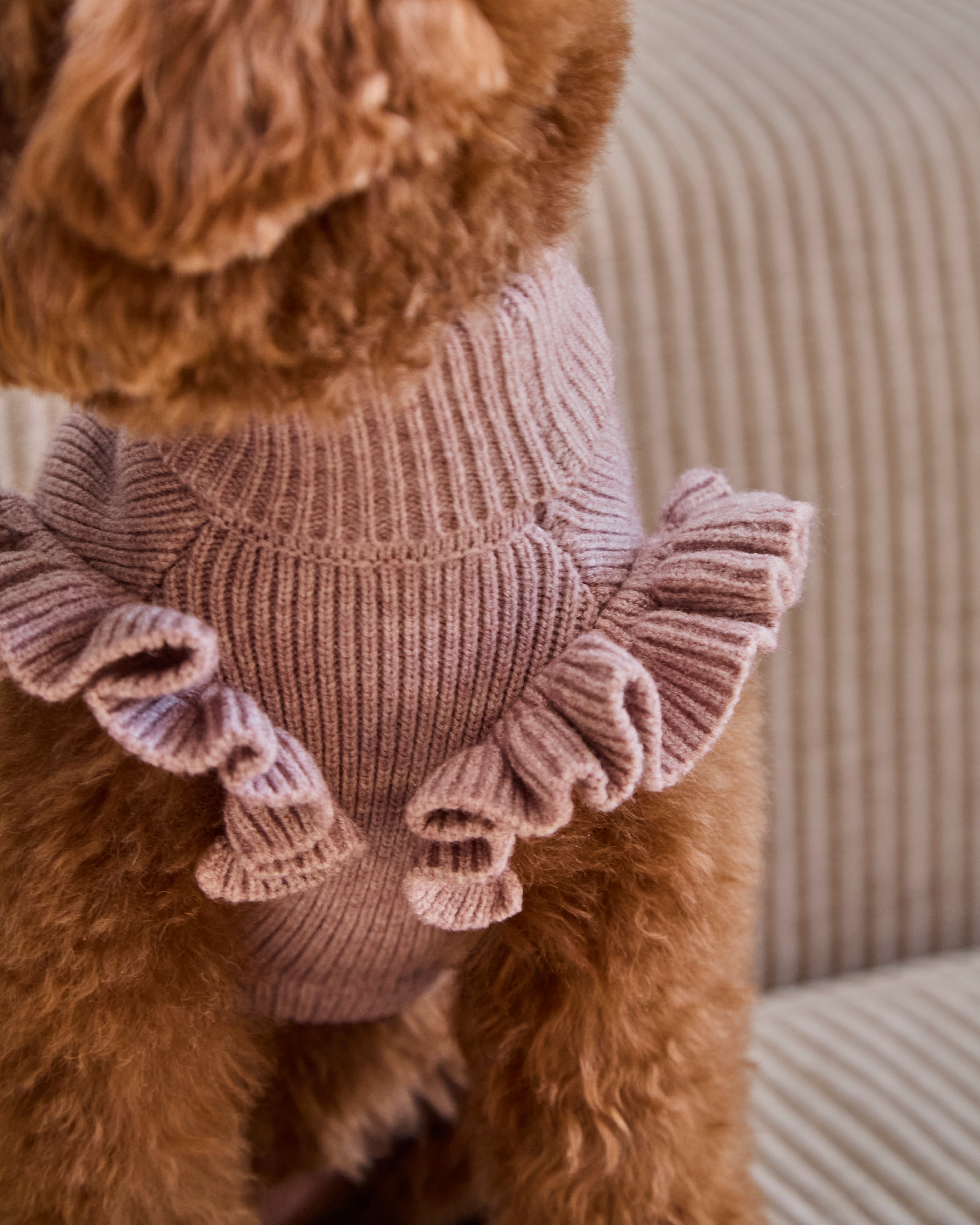 Darling Ruffle Sweater