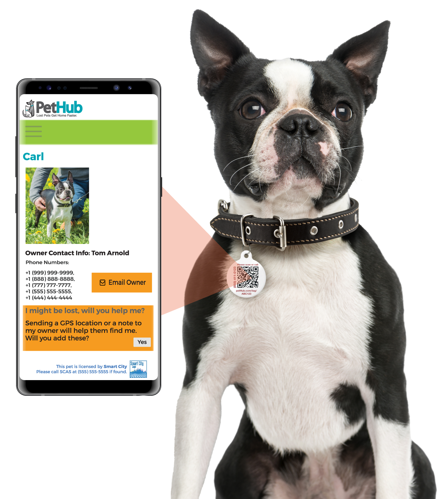 PetHub QR Pet ID Comprehensive ReadyKit – Complete Emergency Kit